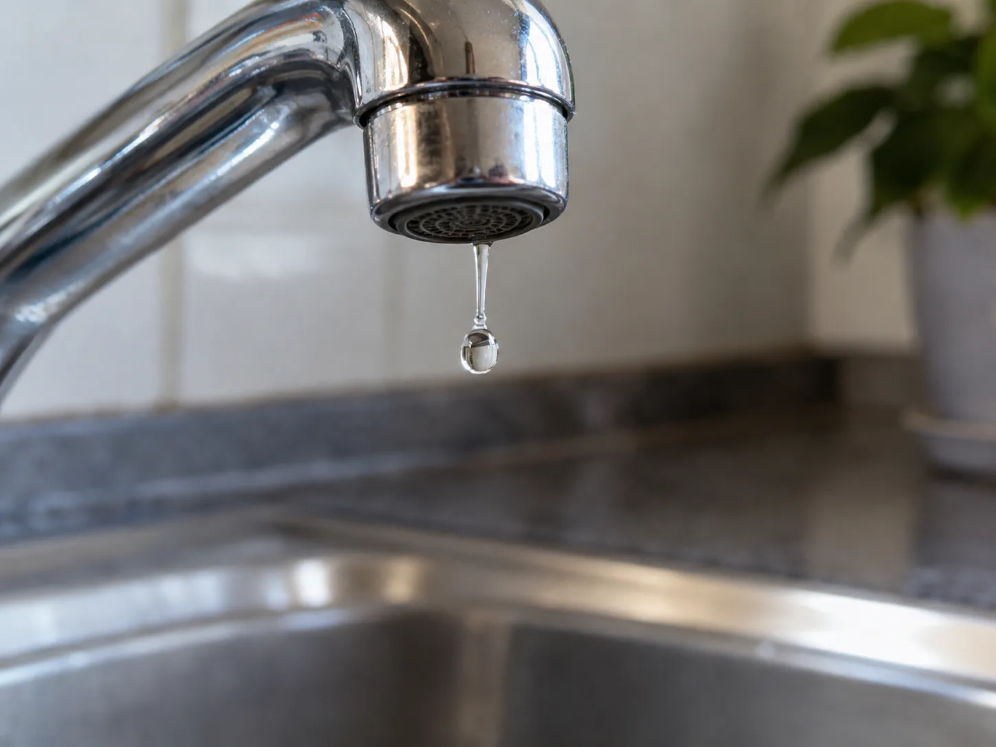 Dripping kitchen faucet